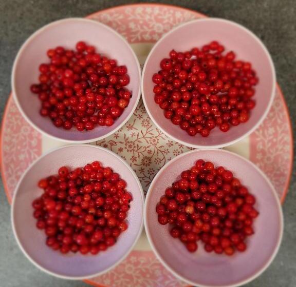 פנסיון Chambres D Hotes Rue Saint Bernard