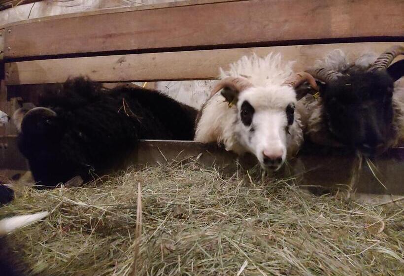 پانسیون Prestshús 2 Guesthouse