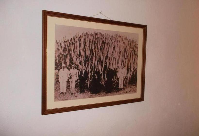 ペンション Room In Guest Room  Casa El Cardon B1 Buenavista Del Norte