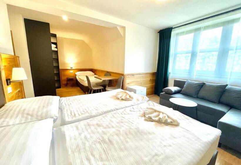 Пансион Villa Pinus Slovenský Raj   Hotel čingov Dependance