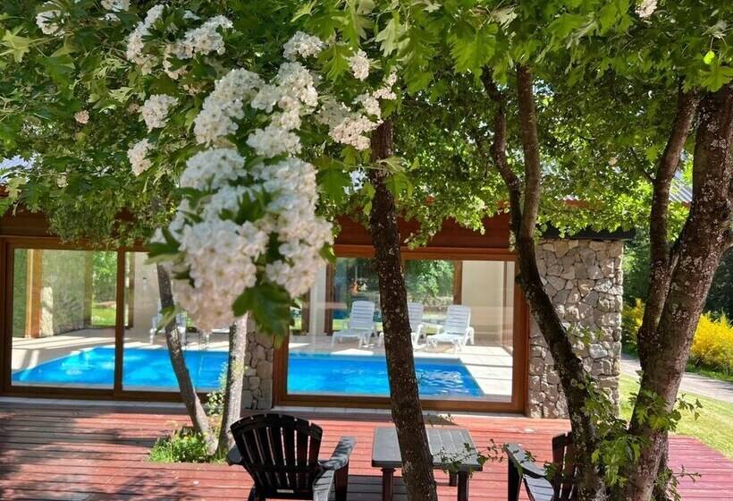 Solar Selvana   Casas De Montaña