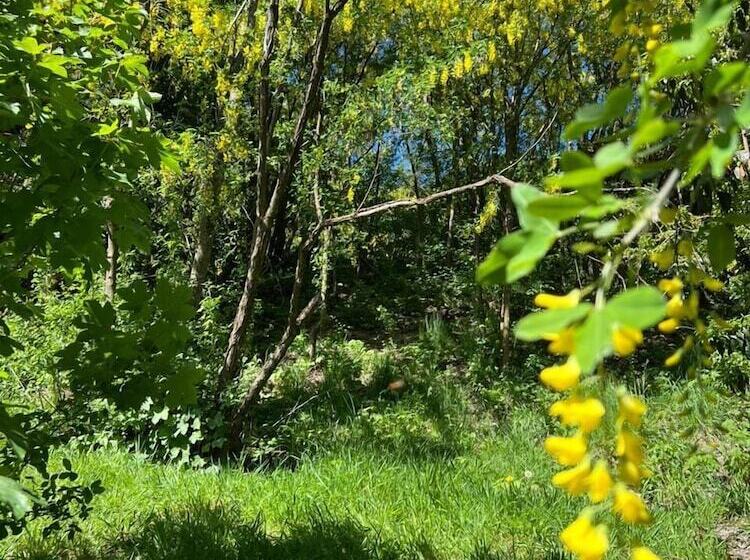 Solar Selvana   Casas De Montaña