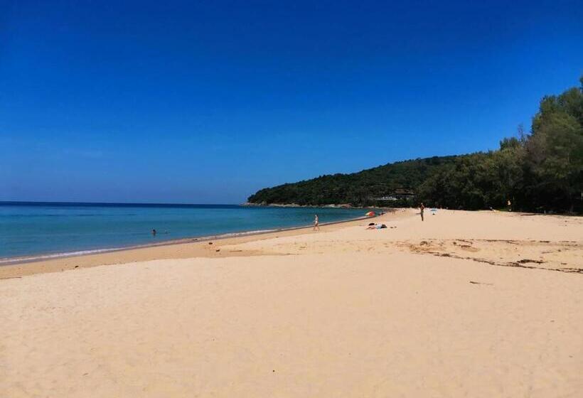ユースホステル Aromdee At Naithon Beach