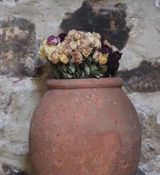 ベッドアンドブレックファースト Affittacamere La Torre Di Montalcino