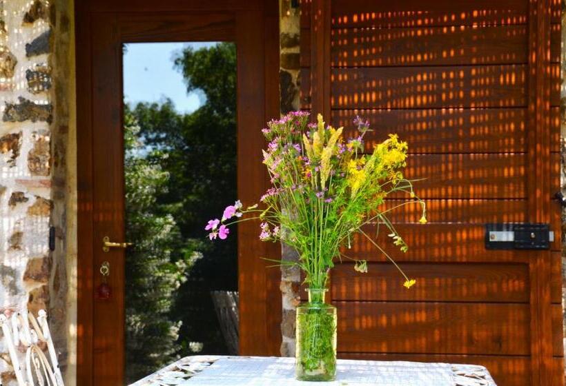 تختخواب و صبحانه Il Venaio