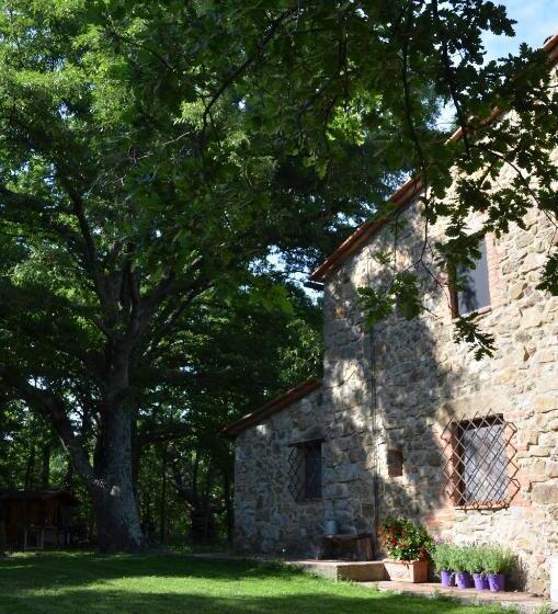 تختخواب و صبحانه Il Venaio