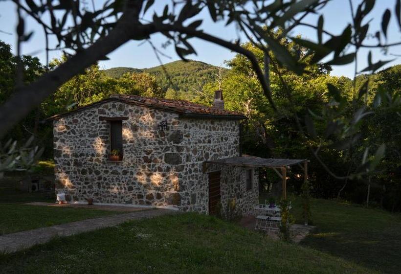 تختخواب و صبحانه Il Venaio