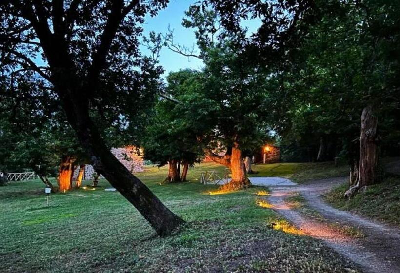 تختخواب و صبحانه Il Venaio