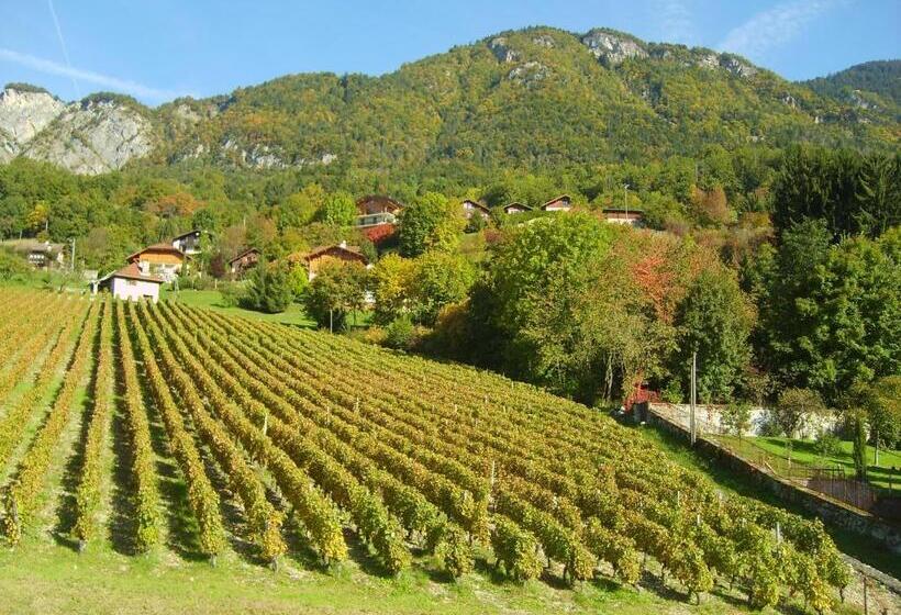 בית מלון כפרי Bellevue