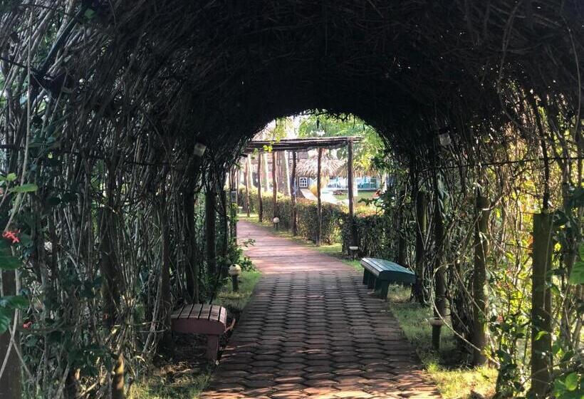 酒店 Bungalows Marbella Costa Esmeralda