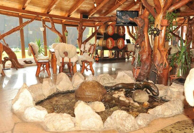 בית מלון כפרי Castelul De Vis