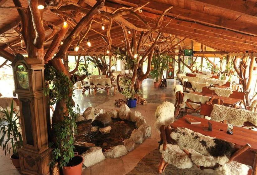 فندق Castelul De Vis