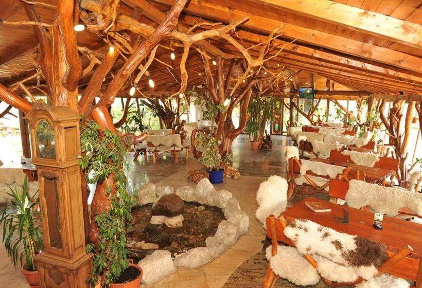 בית מלון כפרי Castelul De Vis