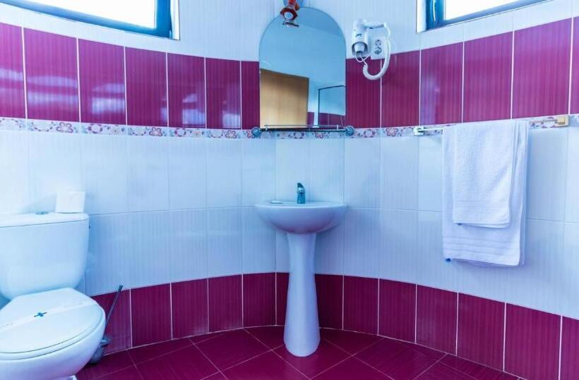 בית מלון כפרי Castelul De Vis