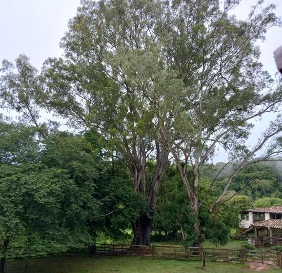 فندق Fazenda Da Roseta   Turismo Rural E Passeios A Cavalo