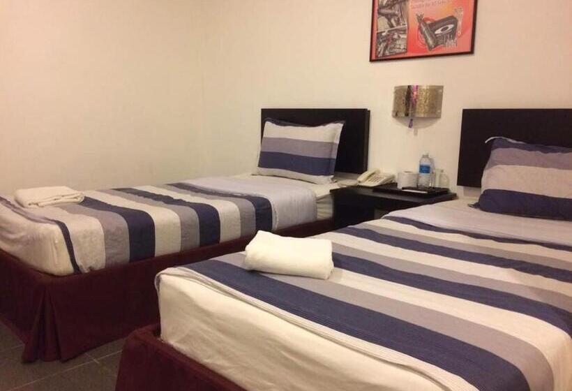 Отель Metro Inn