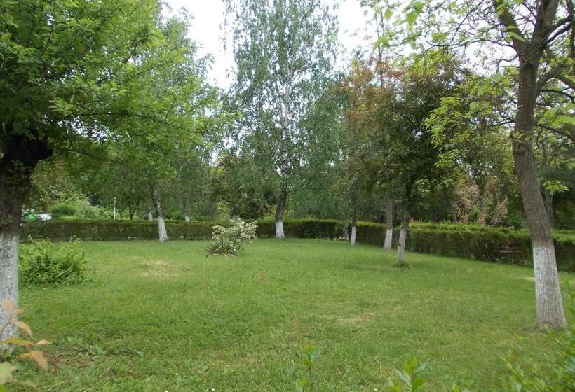 Отель Muncel Băile Felix