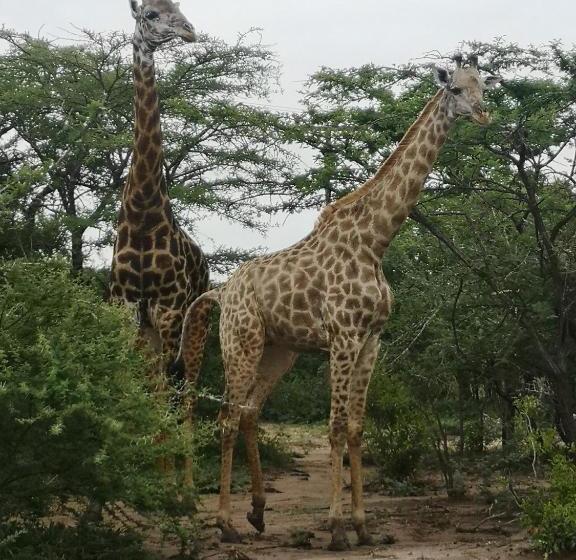 فندق Nsele Safari Lodge