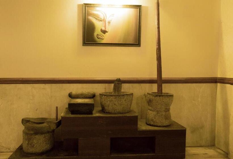 Отель Udupi International