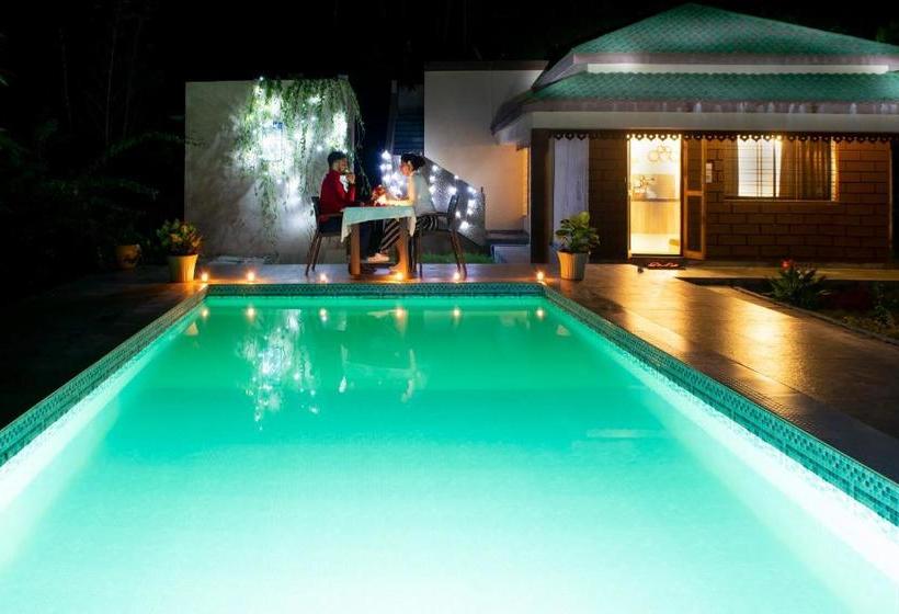 Olive Resort   Sillari Pench