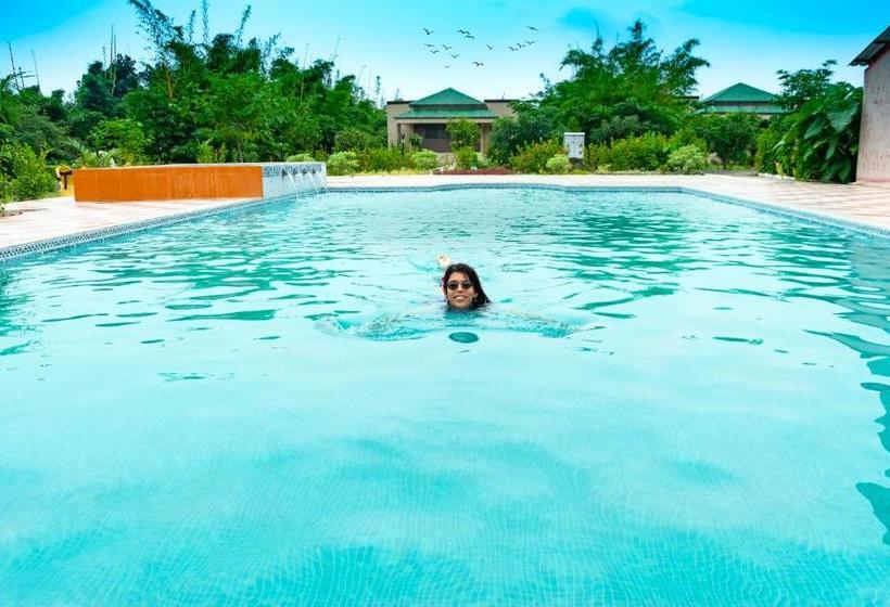 Olive Resort   Sillari Pench