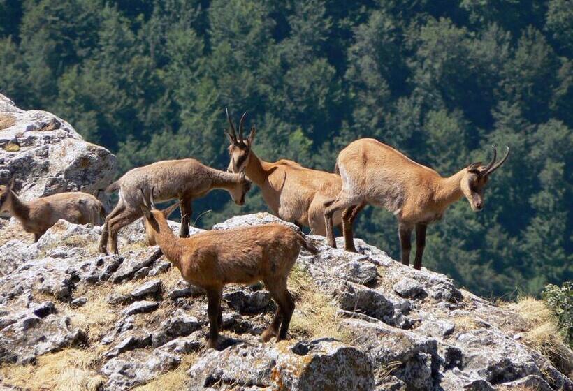 پانسیون Affittacamere Prato Rosso