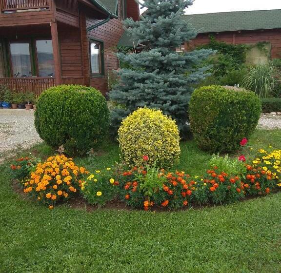 Пансион Casa De Vacanta Roua Diminetii