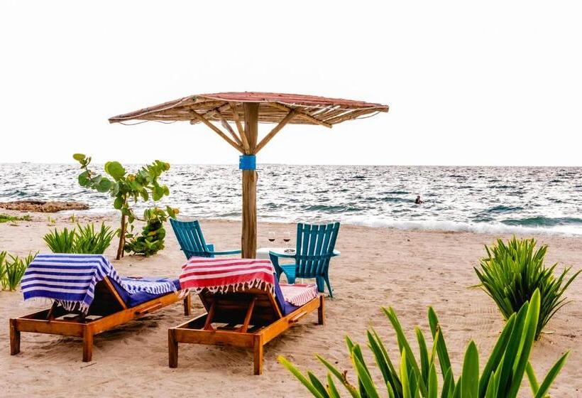 פנסיון Casa Sattva  Bed & Breakfast