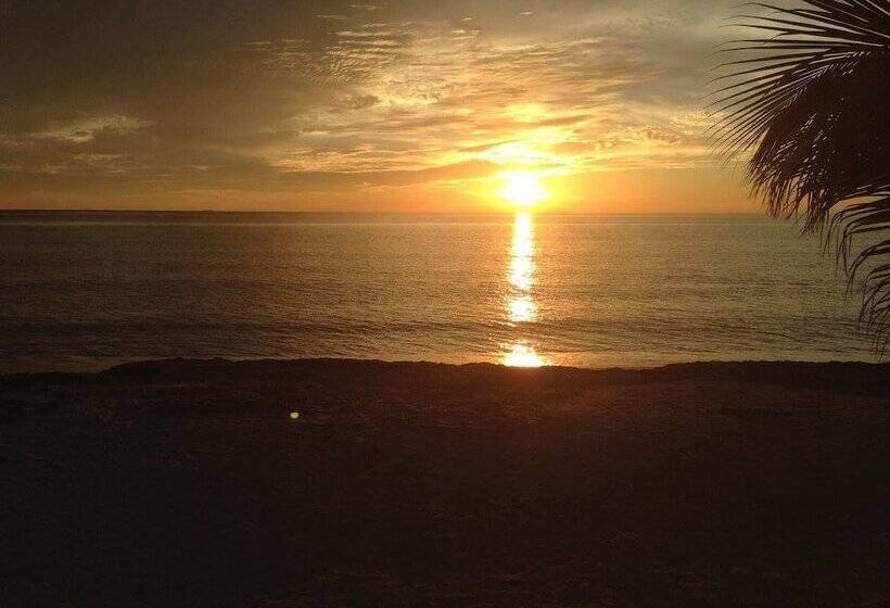 פנסיון Casa Sattva  Bed & Breakfast