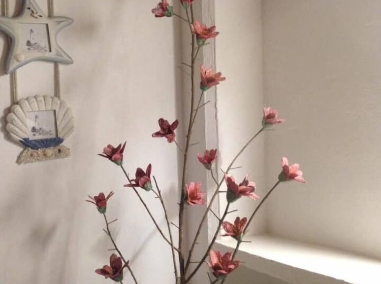 پانسیون Casa Sattva  Bed & Breakfast