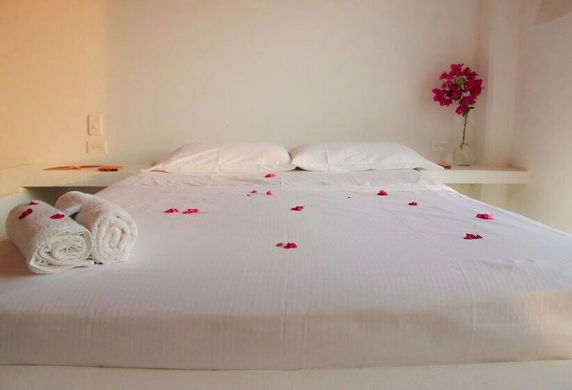 פנסיון Casa Sattva  Bed & Breakfast