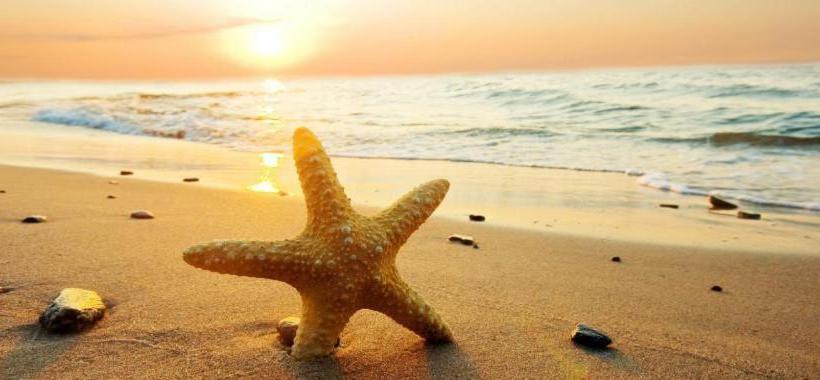 פנסיון Curzon Lodge