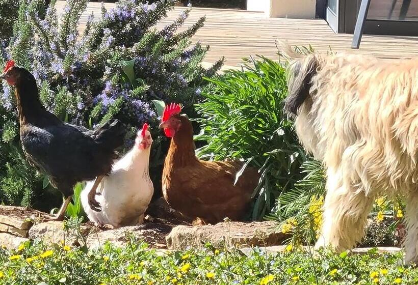 펜션 Le Petit Chêne