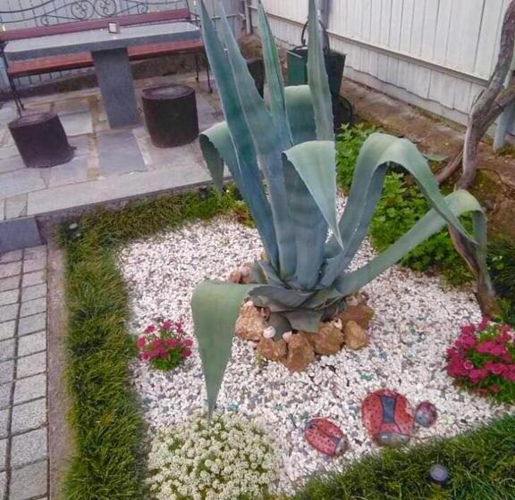 پانسیون Sisi Guest House