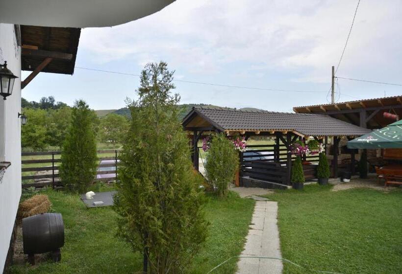 펜션 Vila Maria Săsciori Sebeş