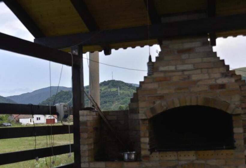 펜션 Vila Maria Săsciori Sebeş