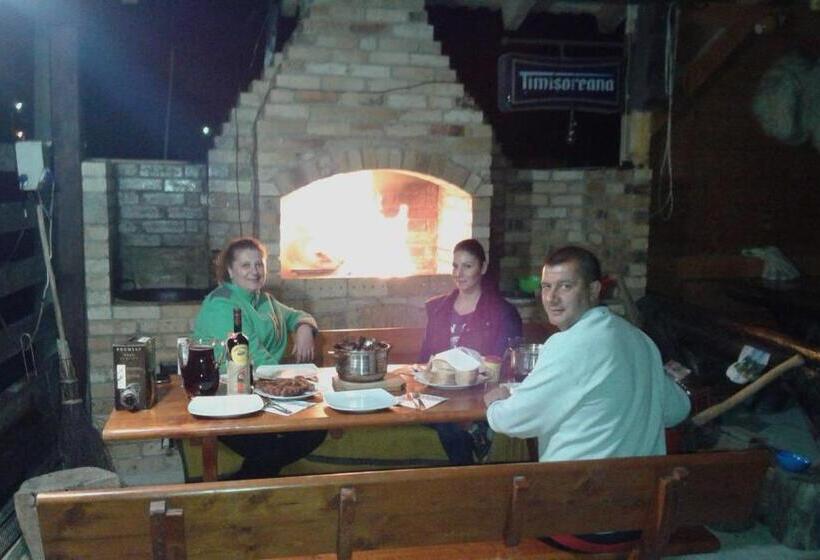 펜션 Vila Maria Săsciori Sebeş