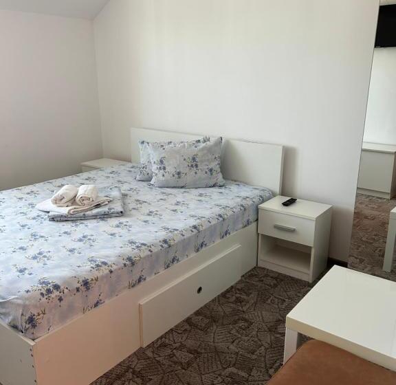 Pensiunea Floare De Colt