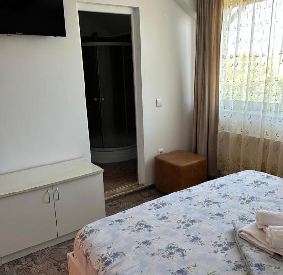 Pensiunea Floare De Colt