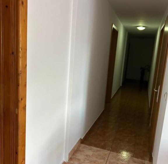 Pensiunea Floare De Colt