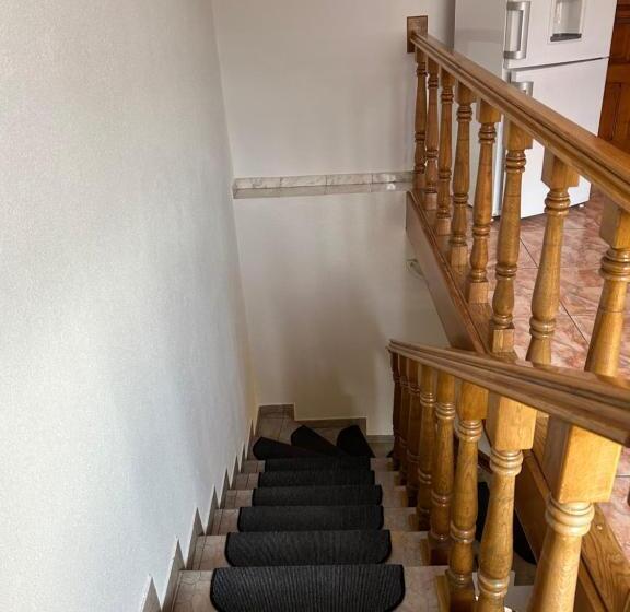 Pensiunea Floare De Colt