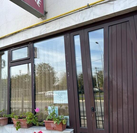 Pensiunea Floare De Colt