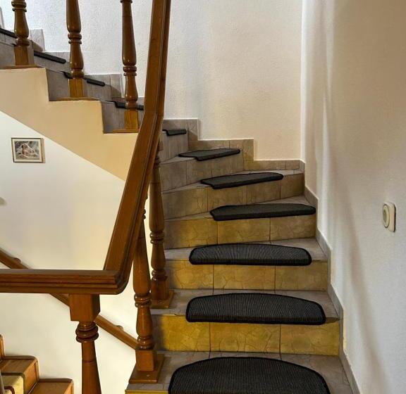 Pensiunea Floare De Colt