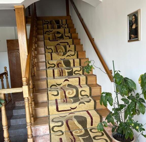 Pensiunea Floare De Colt