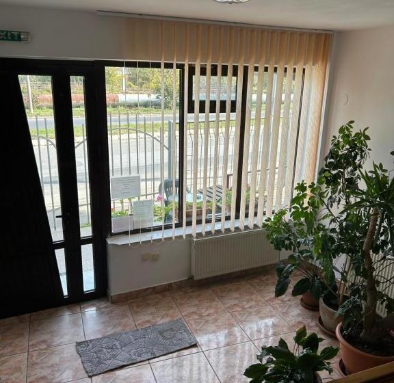 Pensiunea Floare De Colt