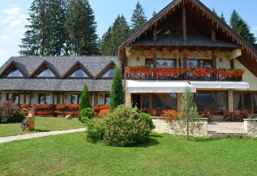 Pensiunea Inima Bucovinei