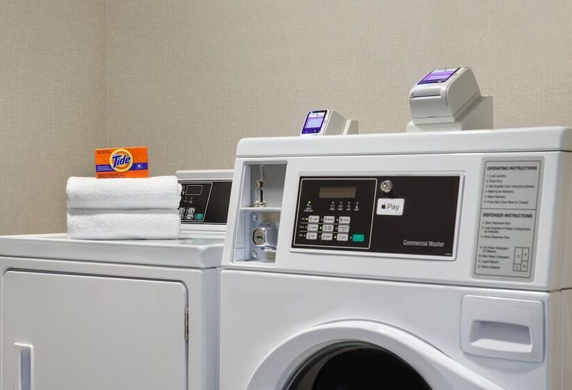 Holiday Inn Express Hotel & Suites Auburn   University Area, An Ihg