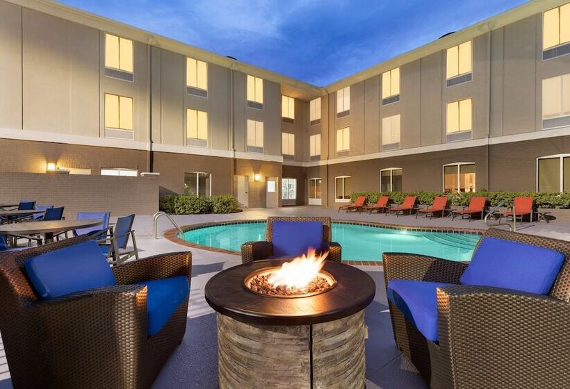 Holiday Inn Express Hotel & Suites Auburn   University Area, An Ihg