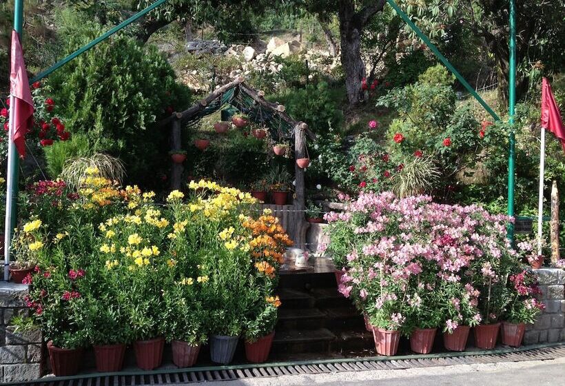 فندق Asia Spa Resort