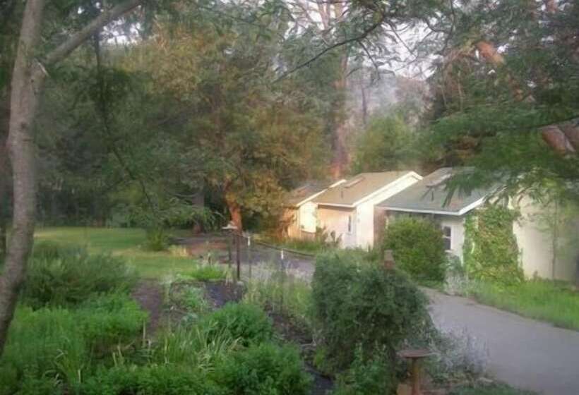 בית מלון כפרי Backyard Garden Oasis